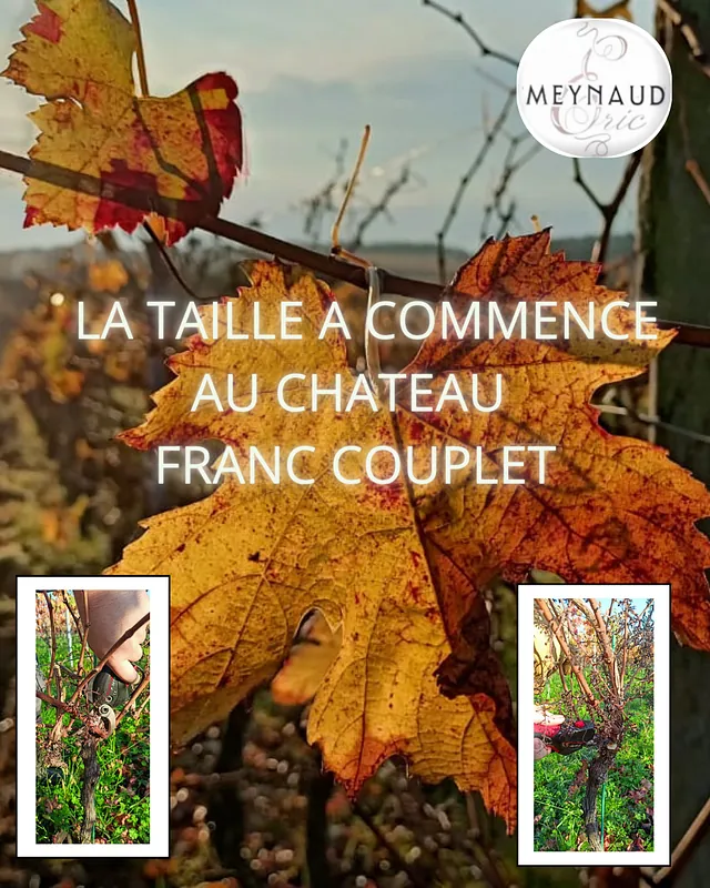 La taille de la Vigne